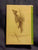 Field guide to birds of the West Indies  by James Bond. 1947. "First Printing" stated