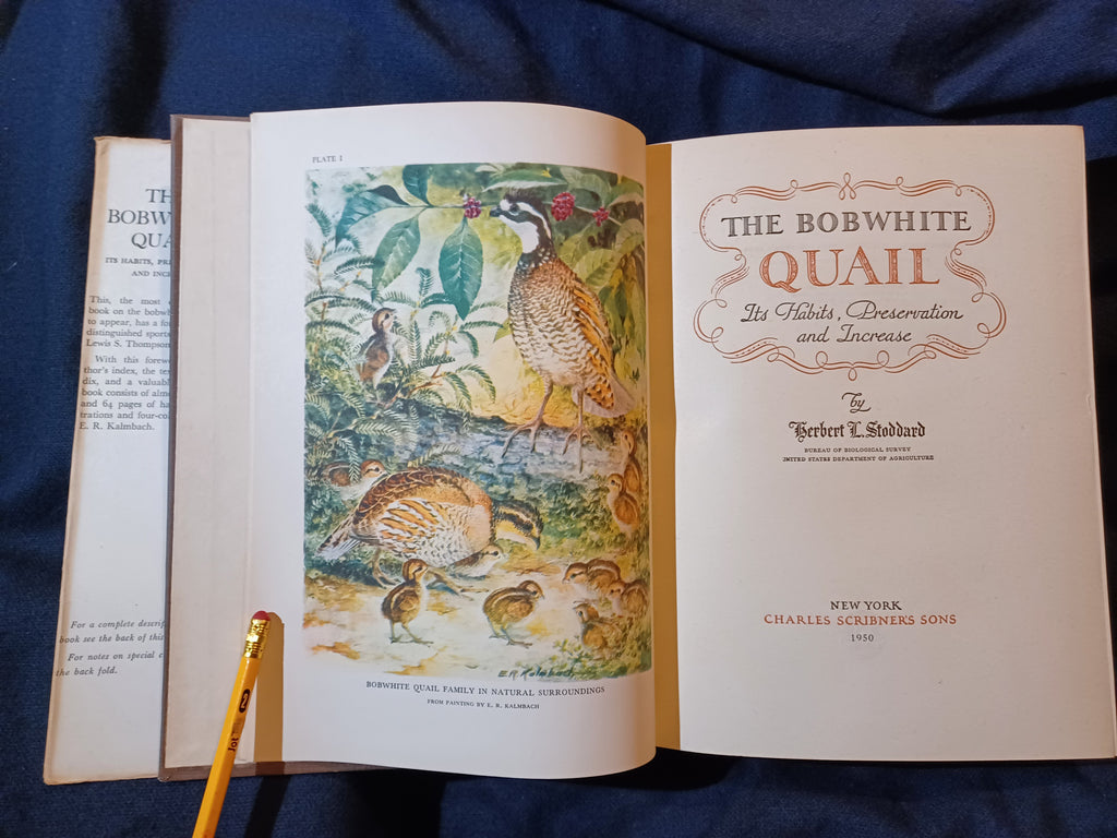 Bobwhite Quail Riddles Bobwhite Quail: Its Habits, Preservation and Increase by Herbert L. St ...