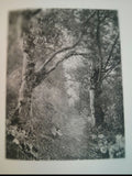 Home and Haunts of Shakespeare by James Leon Williams. The Stratford Edition. 1894