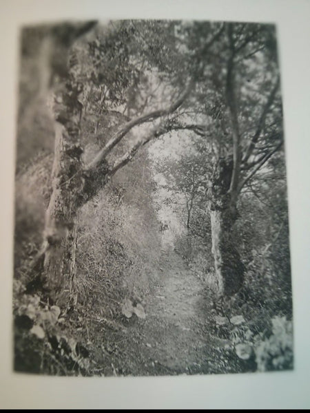 Home and Haunts of Shakespeare by James Leon Williams. The Stratford Edition. 1894