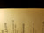 Kybalion: a Study of the Hermetic Philosophy of Ancient Egypt and Greece by Three Initiates 1908